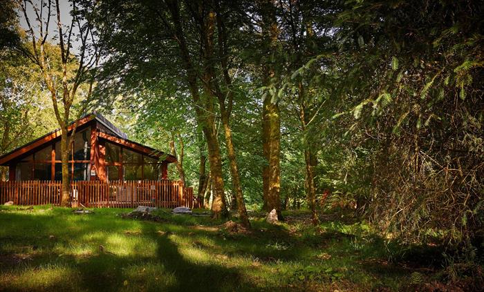 A cabin with trees in the foreground, at Beddgelert, Eryri.